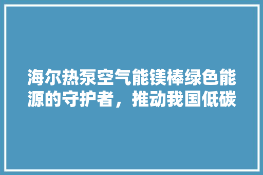 海尔热泵空气能镁棒绿色能源的守护者，推动我国低碳生活新篇章 家具修理