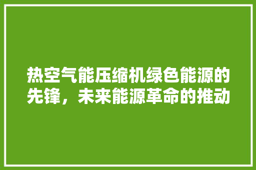 热空气能压缩机绿色能源的先锋，未来能源革命的推动者 翻新改色