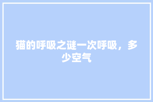 猫的呼吸之谜一次呼吸，多少空气 贴膜
