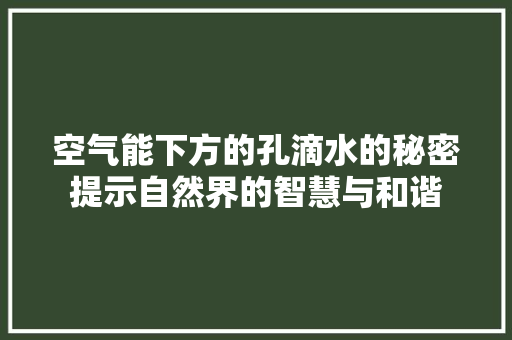 空气能下方的孔滴水的秘密提示自然界的智慧与和谐 家具修理