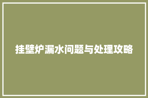 挂壁炉漏水问题与处理攻略 洗衣机 挂壁炉漏水问题与处理攻略 洗衣机