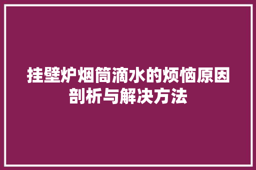 挂壁炉烟筒滴水的烦恼原因剖析与解决方法 家居维修