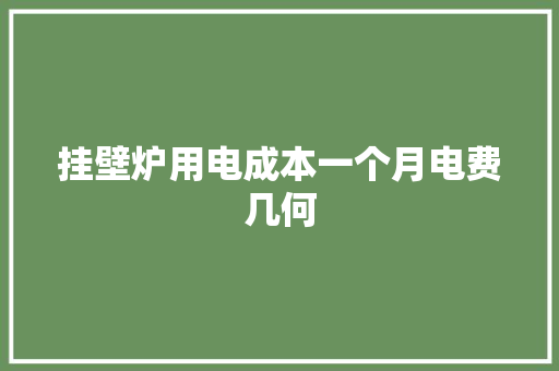 挂壁炉用电成本一个月电费几何 家居维修