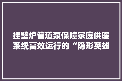 挂壁炉管道泵保障家庭供暖系统高效运行的“隐形英雄” 家具修理