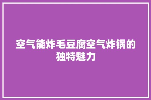 空气能炸毛豆腐空气炸锅的独特魅力 旧房改造 空气能炸毛豆腐空气炸锅的独特魅力 旧房改造