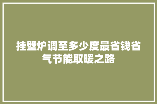 挂壁炉调至多少度最省钱省气节能取暖之路 旧房改造