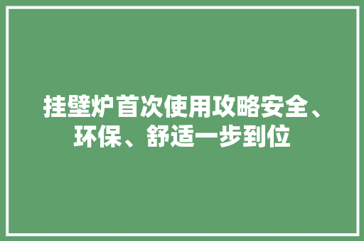 挂壁炉首次使用攻略安全、环保、舒适一步到位 冰箱 挂壁炉首次使用攻略安全、环保、舒适一步到位 冰箱