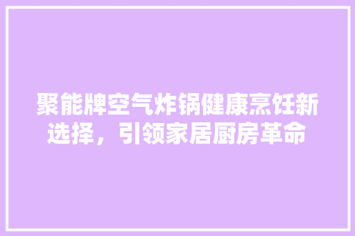 聚能牌空气炸锅健康烹饪新选择,引领家居厨房革命 热水器 聚能牌空气炸锅健康烹饪新选择,引领家居厨房革命 热水器