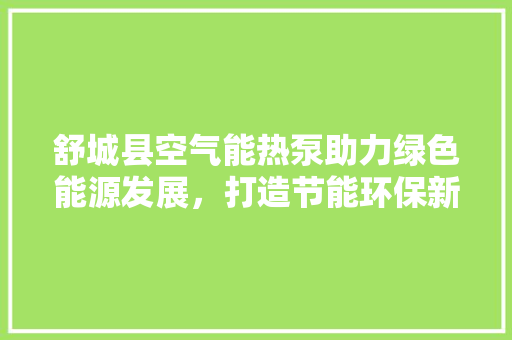 舒城县空气能热泵助力绿色能源发展，打造节能环保新典范 热水器