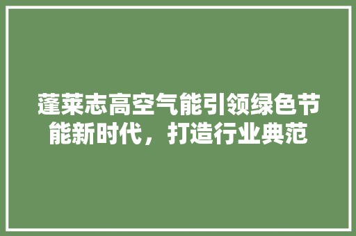 蓬莱志高空气能引领绿色节能新时代，打造行业典范 空调