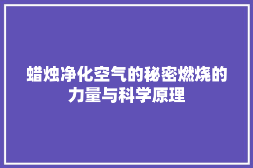 蜡烛净化空气的秘密燃烧的力量与科学原理 旧房改造