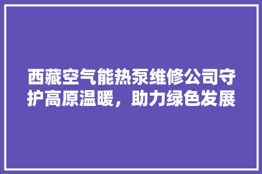 西藏空气能热泵维修公司守护高原温暖，助力绿色发展 家电维护