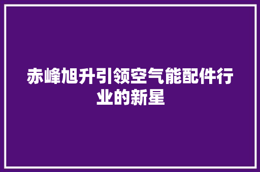 赤峰旭升引领空气能配件行业的新星 清洁保养