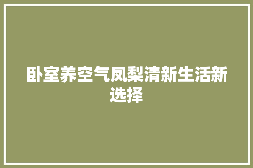 卧室养空气凤梨清新生活新选择 局部翻新