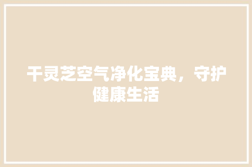 干灵芝空气净化宝典，守护健康生活 龙头管件