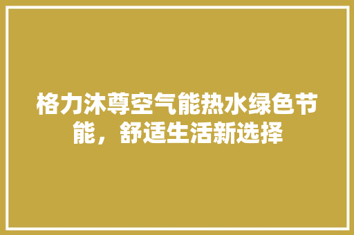 格力沐尊空气能热水绿色节能，舒适生活新选择 洁具维修