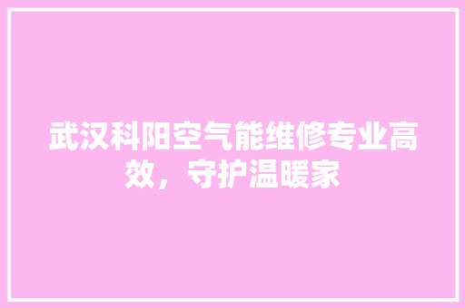 武汉科阳空气能维修专业高效，守护温暖家 冰箱