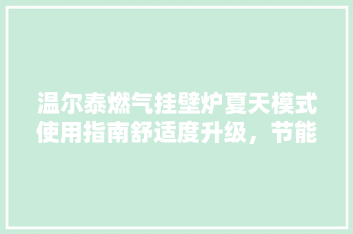 温尔泰燃气挂壁炉夏天模式使用指南舒适度升级，节能环保两不误 家居维修