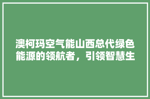 澳柯玛空气能山西总代绿色能源的领航者，引领智慧生活新风尚 旧房改造