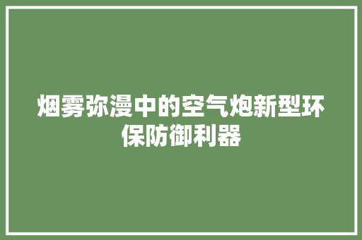 烟雾弥漫中的空气炮新型环保防御利器 家居维修