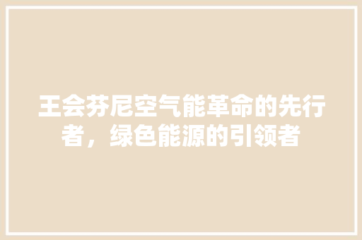 王会芬尼空气能革命的先行者，绿色能源的引领者 清洁保养