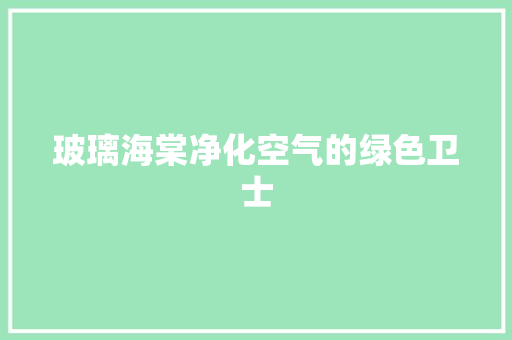玻璃海棠净化空气的绿色卫士 水电维修
