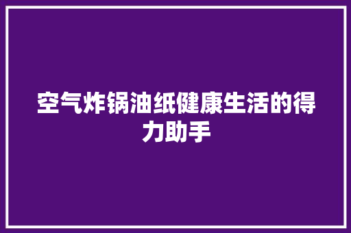 空气炸锅油纸健康生活的得力助手 空调