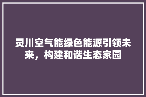 灵川空气能绿色能源引领未来，构建和谐生态家园 龙头管件