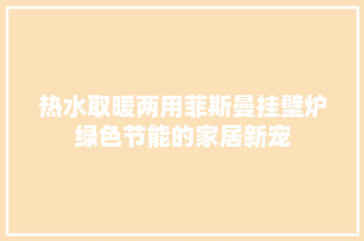热水取暖两用菲斯曼挂壁炉绿色节能的家居新宠 灯具安装 热水取暖两用菲斯曼挂壁炉绿色节能的家居新宠 灯具安装