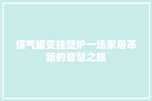煤气罐变挂壁炉一场家居革新的智慧之旅 冰箱