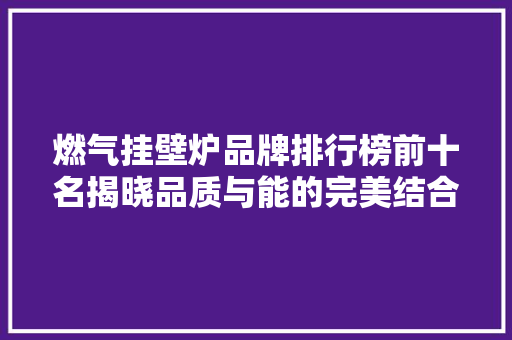 燃气挂壁炉品牌排行榜前十名揭晓品质与能的完美结合 水电维修