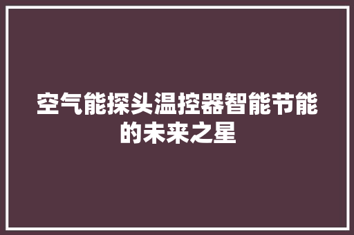 空气能探头温控器智能节能的未来之星 冰箱