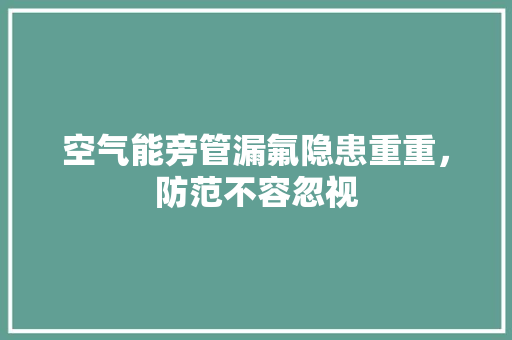 空气能旁管漏氟隐患重重，防范不容忽视 洗衣机