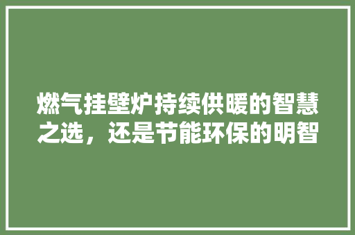 燃气挂壁炉持续供暖的智慧之选,还是节能环保的明智之策 冰箱 燃气挂壁炉持续供暖的智慧之选,还是节能环保的明智之策 冰箱