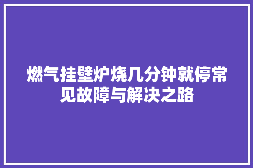 燃气挂壁炉烧几分钟就停常见故障与解决之路 家电维护