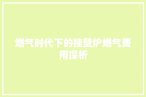 燃气时代下的挂壁炉燃气费用探析 空调