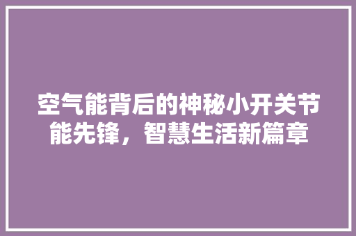 空气能背后的神秘小开关节能先锋，智慧生活新篇章 洁具维修