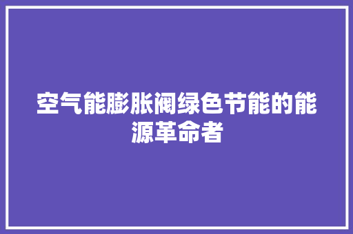 空气能膨胀阀绿色节能的能源革命者 热水器