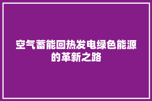 空气蓄能回热发电绿色能源的革新之路 龙头管件