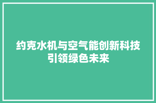 约克水机与空气能创新科技引领绿色未来 水电维修