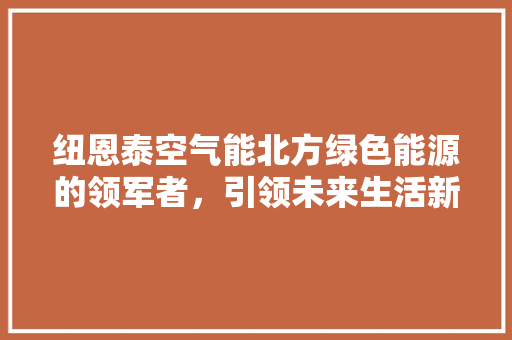 纽恩泰空气能北方绿色能源的领军者，引领未来生活新风尚 清洁保养