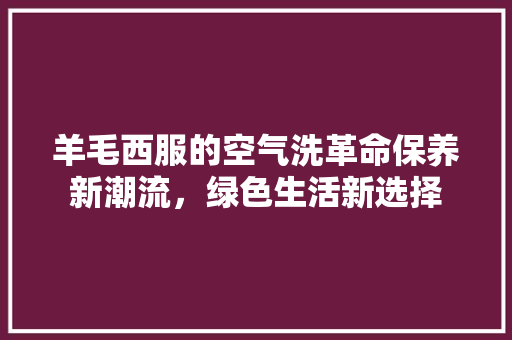 羊毛西服的空气洗革命保养新潮流，绿色生活新选择 家居维修
