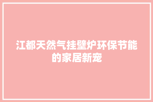 江都天然气挂壁炉环保节能的家居新宠 贴膜