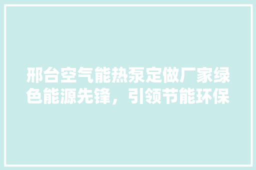 邢台空气能热泵定做厂家绿色能源先锋，引领节能环保新潮流 空调