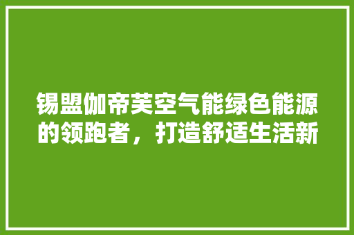锡盟伽帝芙空气能绿色能源的领跑者，打造舒适生活新标杆 洗衣机