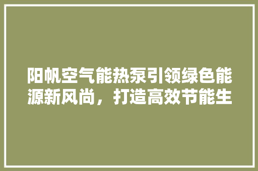阳帆空气能热泵引领绿色能源新风尚，打造高效节能生活 灯具安装