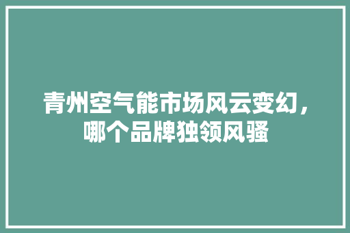 青州空气能市场风云变幻，哪个品牌独领风骚 热水器
