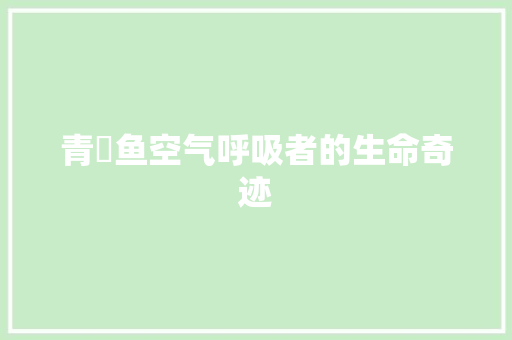青鳉鱼空气呼吸者的生命奇迹 洗衣机
