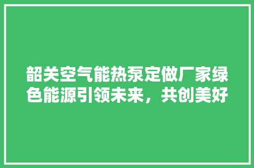 韶关空气能热泵定做厂家绿色能源引领未来，共创美好生活 洗衣机