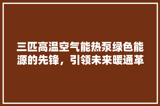 三匹高温空气能热泵绿色能源的先锋，引领未来暖通革命 装修设计